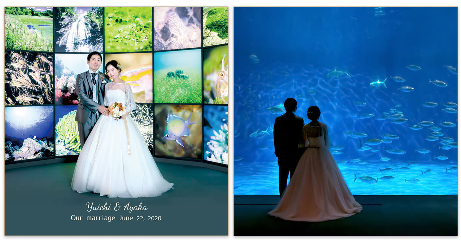 吉野公園・かごしま水族館 フォトウエディングアルバム 表紙