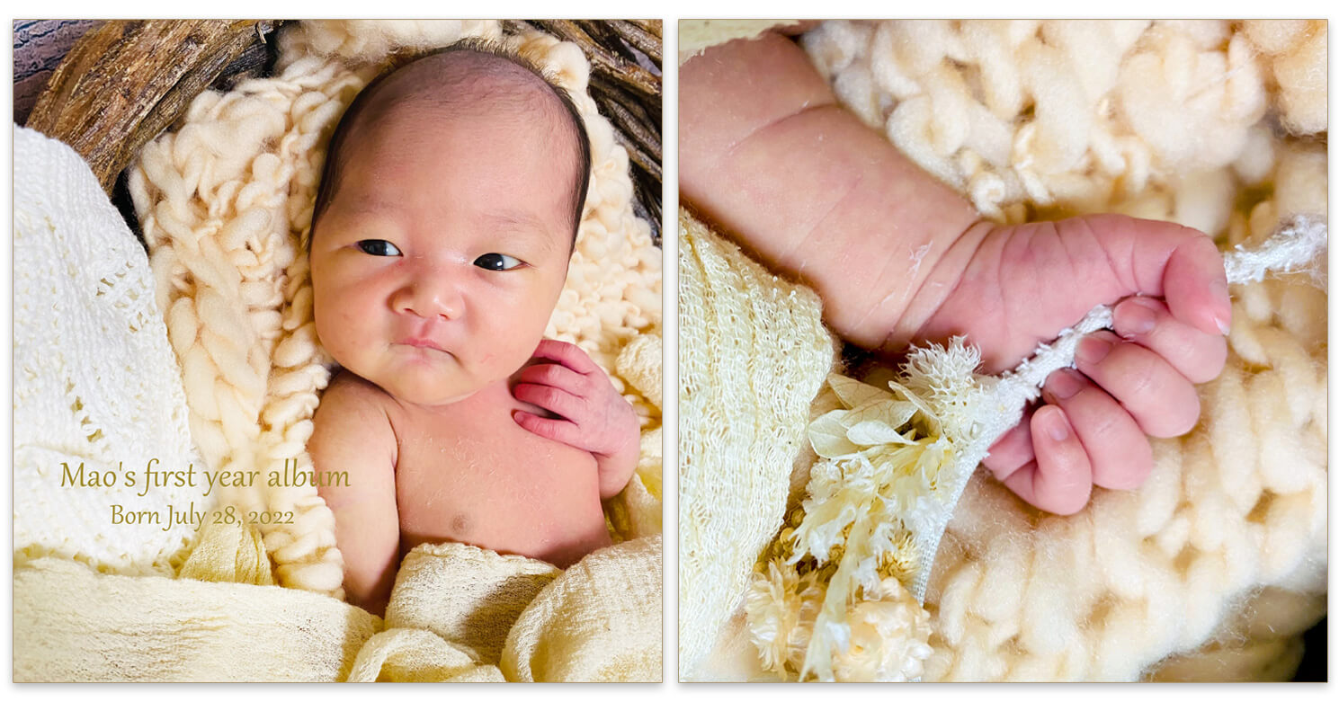 ニューボーンアルバム 表紙