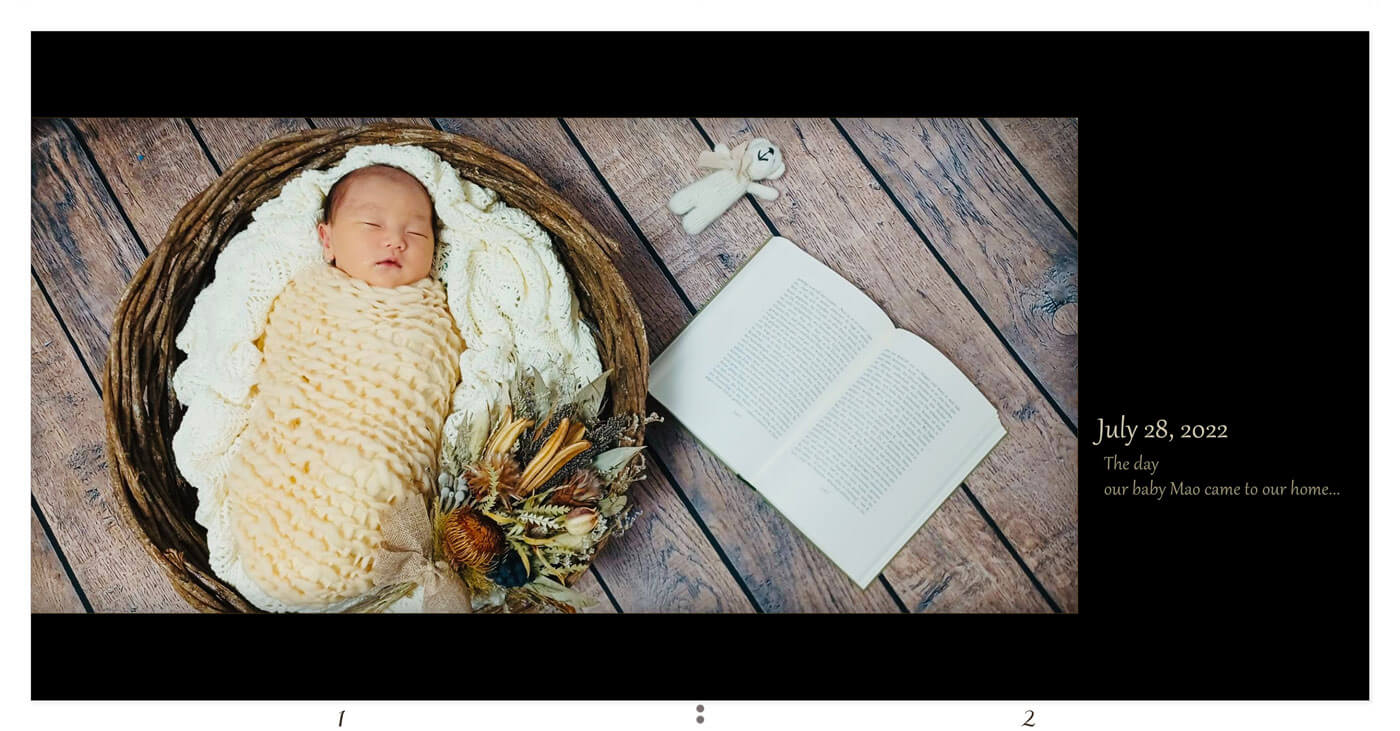 1～2ページ ニューボーンアルバム