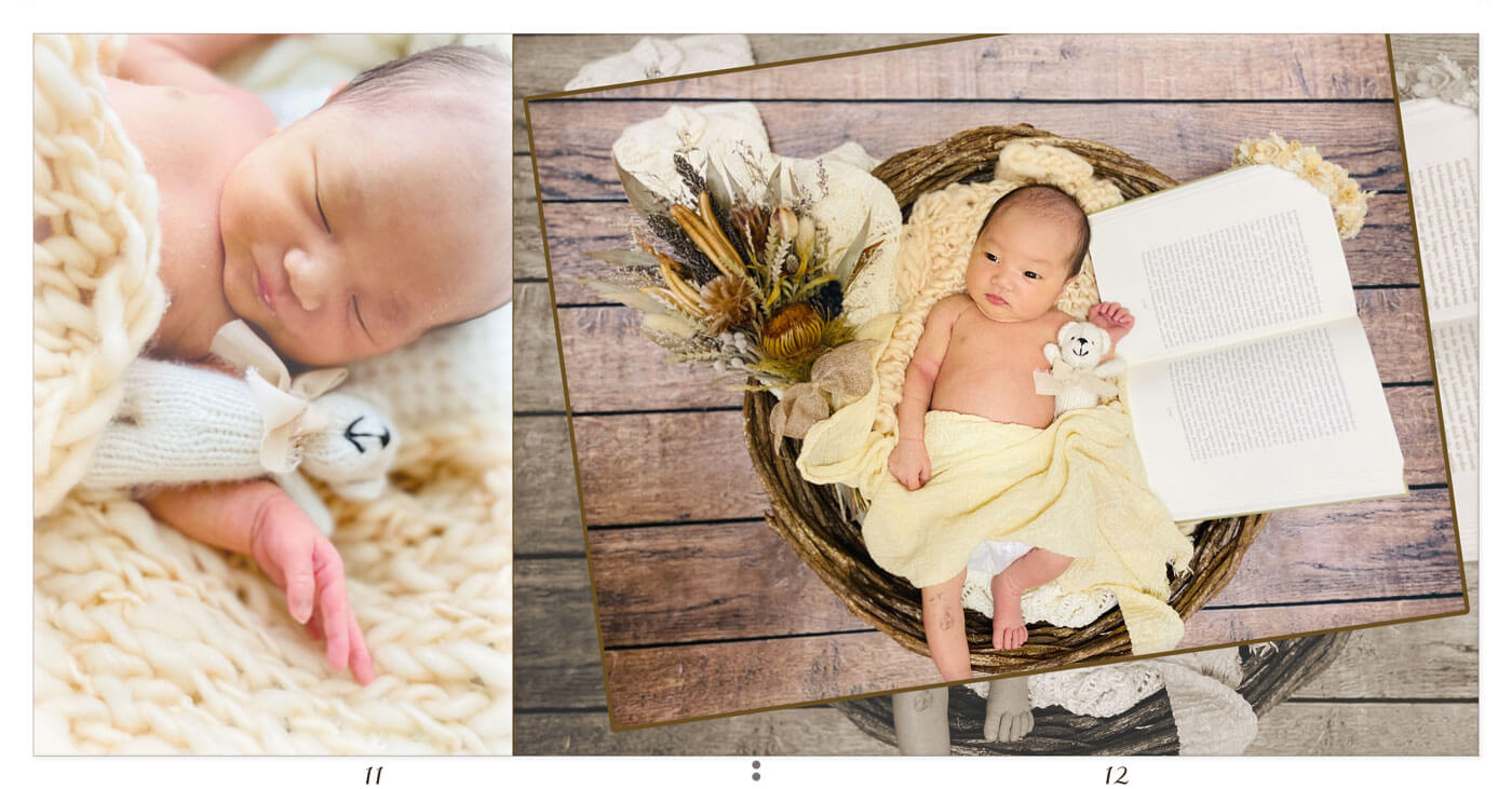 11～12ページ ニューボーンアルバム