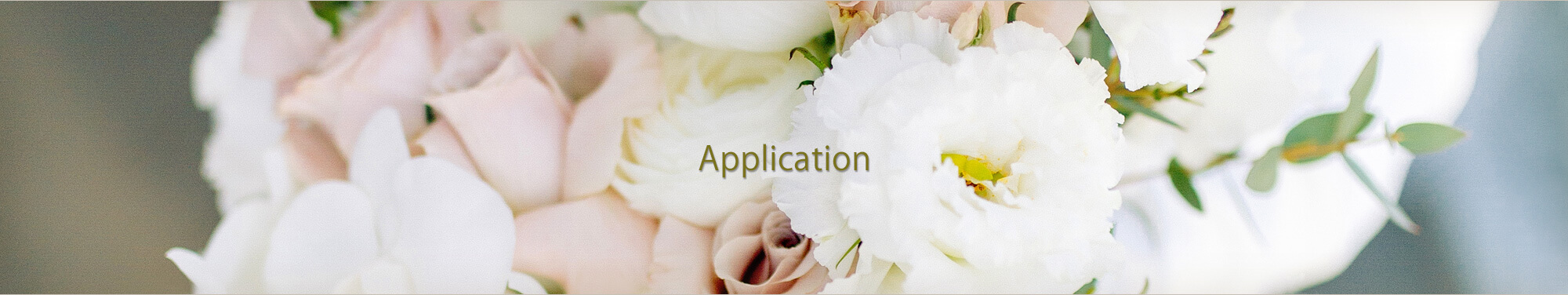 申し込み方法～制作の流れ