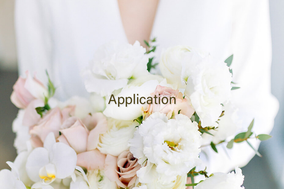 申し込み～制作の流れ